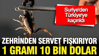 Suriye'den Türkiye'ye Ulaşan 500 Gramlık Yapay Zehir: Fiyatı 5 Milyon Dolar!
