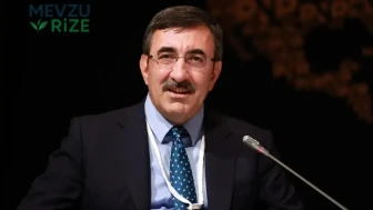 Cumhurbaşkanı Yardımcısı Cevdet Yılmaz Türk Mü, Kürt Mü, Kökeni Ne, Mezunu, Eşi Kim?