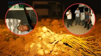 Bir Yılın Emeği İçin Geceyi Tarlada Geçiriyorlar: Çiftçiler Beyaz Altın İçin Nöbette!