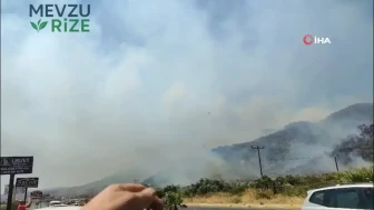 Kazdağları'nda Feci Yangın: Alevler Yerleşim Alanlarına Yaklaşıyor