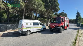 Üsküdar’da Şok Edici Kaza: Forklift Sürücüsü Bahçeye Düştü!