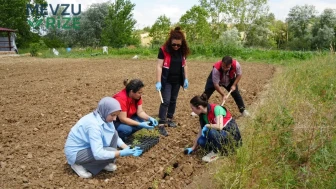 Üniversite Sera Projesi: Çiftçilerin Gelirlerini Artırmaya Yönelik Yenilikçi Çözüm