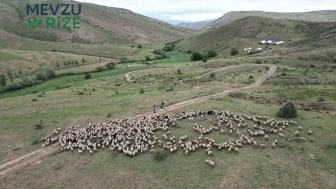 Göçerler, Yüksek Yaylalarda Çalışmalarına Devam Ediyor!