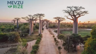 Afrika’nın Hint Okyanusu’ndaki Eşsiz Cenneti: Madagaskar’ın Göz Kamaştıran Zenginlikleri