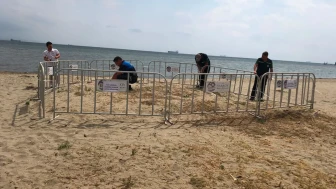 699 bin liralık ceza koruyor: Kum zambakları için önlem