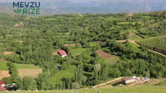 Bitlis'in Gizli Cennetine Ziyaretçi Yağmuru: Her Köşede Onlar Var!