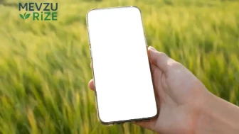 Ekran Zorbalığına Dikkat: Aile Dinamikleri ve Nedenleri Üzerine Yeni Gözlemler