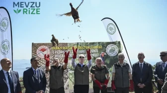 Kene ve Kokarca Sorununa Doğal Çözüm: Sülünler Sahada!