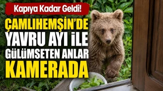 Kapıya Kadar Geldi! Çamlıhemşin'de Yavru Ayı ile Gülümseten Anlar Kamerada