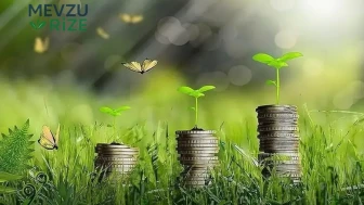 Türkiye'nin Yeşil Dönüşüm Sürecinin Yıllık Faturası 25 Milyar Dolar!