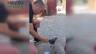 Elazığ’da insanlık dersi: Elleriyle bitkin düşen kargayı besledi