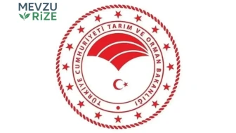 Tarım ve Orman Bakanlığı'nın 1874 Sözleşmeli Personel Alımı İçin Başvuru Tarihleri ve Kadro Dağılımı Belli Oldu!