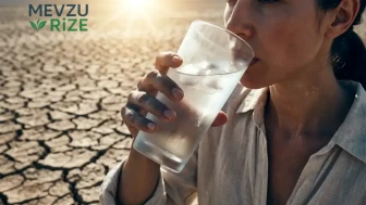 Sıcak Havalarda Susuzluk Hissi Olmasa Bile Günde En Az 2,5 Litre Su İçmek Şart: Beyin Hasarına Yol Açabilir!