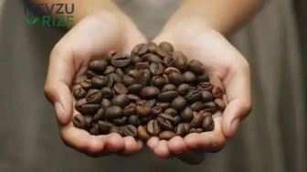 Türkiye'de Kişi Başına Yıllık Kahve Tüketimi 2,5 Kilograma Ulaştı