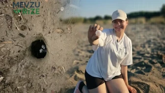 Caretta Caretta Yavrularının Koruma Altına Alındığı Dönem: 790 Yuva Belirlendi!
