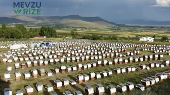 Ordulu Arıcılar Türkiye Ekonomisine 7 Milyar TL'lik Katkı Sağladı