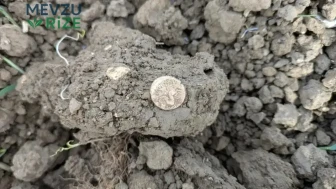 Yeğeniyle Birlikte Tarlada Gezerken 2 Bin Yıllık Sikkeleri Buldu, Servetini Bağışladı!