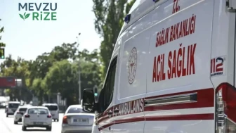Manavgat'ta Safari Araç Kazasında Sürücü ve Turist Yaralandı
