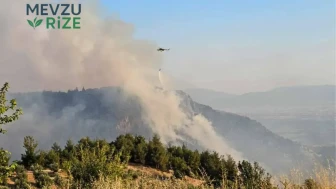 Denizli'deki Orman Yangını, 14 Saat Sonra Kontrol Altına Alındı