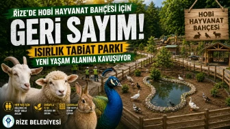 Rize'de Hobi Hayvanat Bahçesi İçin Geri Sayım! Isırlık Tabiat Parkı Yeni Yaşam Alanına Kavuşuyor