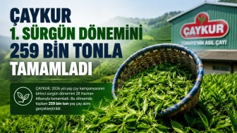 ÇAYKUR Birinci Sürgün Yaş Çay Alımlarını 259 Bin Tonla Tamamladı