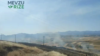 Elazığ'da Rüzgarın Şiddetiyle Alevler 40 Dönüm Arpa Tarlasını Yok Etti!
