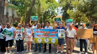 Kesim Kararına Dur Diyoruz: Ağaçların Korunması Çağrısı!