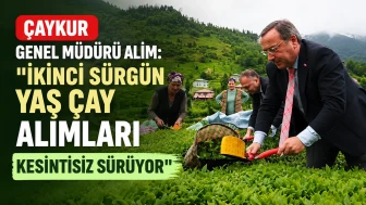 ÇAYKUR Genel Müdürü Alim: İkinci Sürgün Yaş Çay Alımları Kesintisiz Sürüyor