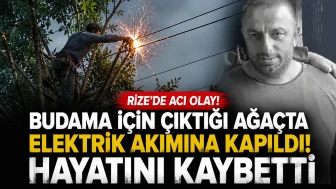 Rize'de Budama İçin Çıktığı Ağaçta Elektrik Akımına Kapılan Adam Hayatını Kaybetti