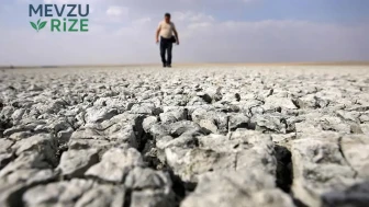 Nöroloji Uzmanı'ndan Dikkat Çeken Uyarı: İklim Değişikliği İnme Tehlikesini Yükseltiyor!