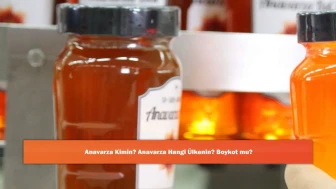 Anavarza Kimin? Anavarza Hangi Ülkenin? Boykot mu?