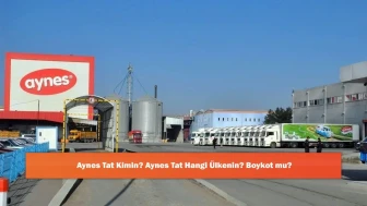 Aynes Tat Kimin? Aynes Tat Hangi Ülkenin? Boykot mu?