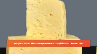 Bergama Tulum Kimin? Bergama Tulum Hangi Ülkenin? Boykot mu?