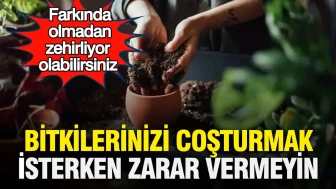 Bitkilerinizi Beslerken Dikkat! Farkında Olmadan Zararlı Olabileceğiniz 5 Hata