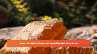 Buram Bal Kimin? Buram Bal Hangi Ülkenin? Boykot mu?