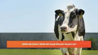Çiftlik Süt Kimin? Çiftlik Süt Hangi Ülkenin? Boykot mu?
