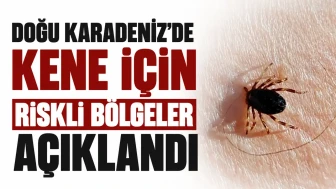 Doğu Karadeniz'de kene sezonu sakin geçiyor