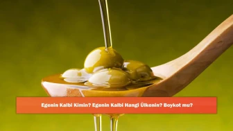 Egenin Kalbi Kimin? Egenin Kalbi Hangi Ülkenin? Boykot mu?