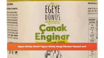 Egeye Dönüş Kimin? Egeye Dönüş Hangi Ülkenin? Tüm Merak Edilenler