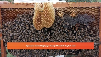 Eğriçayır Kimin? Eğriçayır Hangi Ülkenin? Boykot mu?