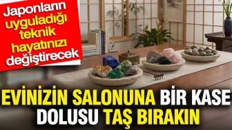 Evinizdeki Salona Taş Kase Koyarak Japonların Hayat Değiştiren Yöntemini Deneyin!