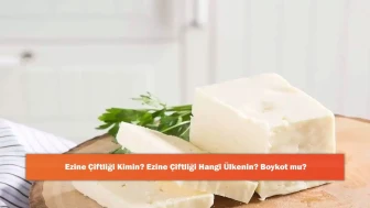 Ezine Çiftliği Kimin? Ezine Çiftliği Hangi Ülkenin? Boykot mu?