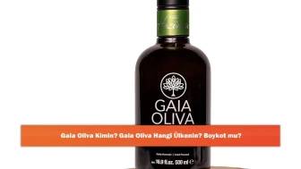 Gaia Oliva Kimin? Gaia Oliva Hangi Ülkenin? Boykot mu?