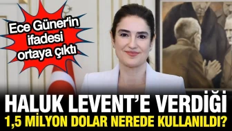 Haluk Levent'in 1,5 milyon dolarlık bağışı hangi amaçlarla harcandığı konusunda Ece Güner'in açıklamaları gündeme geldi