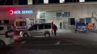 Kars'ta 3 Yaşındaki Çocuk Gölete Düşerek Hayatını Kaybetti