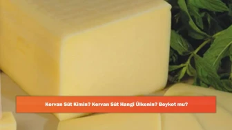 Kervan Süt Kimin? Kervan Süt Hangi Ülkenin? Boykot mu?