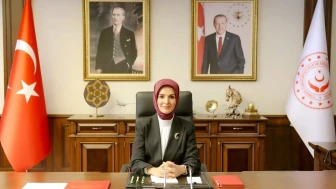 Mahinur Özdemir Göktaş kimdir? Nereli? Kaç yaşında? Ailesi kimdir? Eşi nereli? Babası kimdir? Ne okudu?