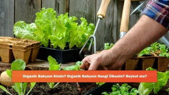 Organik Bahçem Kimin? Organik Bahçem Hangi Ülkenin? Boykot mu?