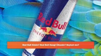 Red Bull Kimin? Red Bull Hangi Ülkenin? Boykot mu?