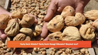 Tariş İncir Kimin? Tariş İncir Hangi Ülkenin? Boykot mu?
